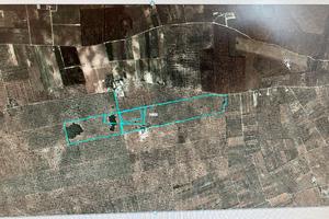 Terreno agricolo olivetato