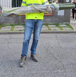 Piante grasse cactus