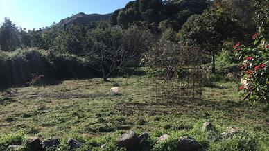 Vendita terreno agricolo messina santa margherita