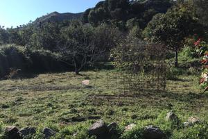 Vendita terreno agricolo messina santa margherita