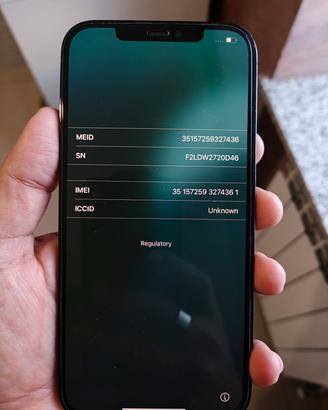 iPhone 12 pro max 256 GB. 