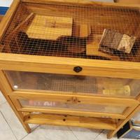 gabbia Criceti in legno 