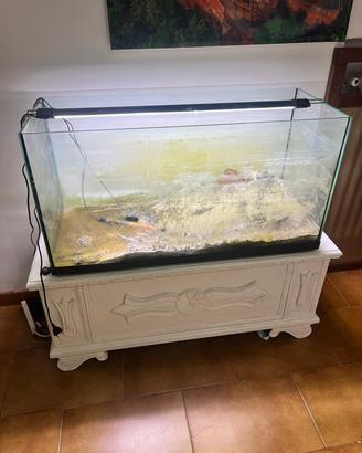 ACQUARIO 200 LITRI
