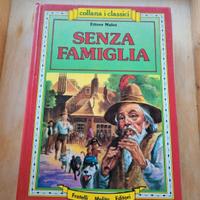 Libro: Senza Famiglia (1 Edizione)