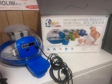 Incubatrice Smart 24