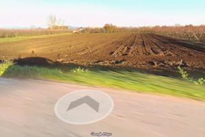 Terreno agricolo
