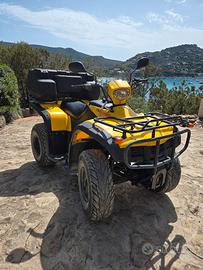Quad Leoncin 250