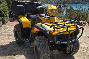 Quad Leoncin 250