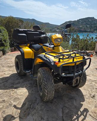 Quad Leoncin 250