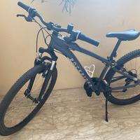 BICICLETTA  S