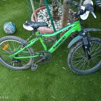 Bici bambino 7 -10 anni