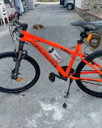 2 mountain bike