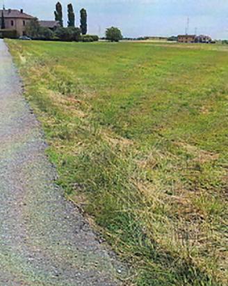 VERDERIO: TERRENO agricolo
