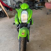 Kawasaki ER-6N 2008 A2