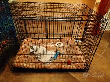 gabbia per cane 