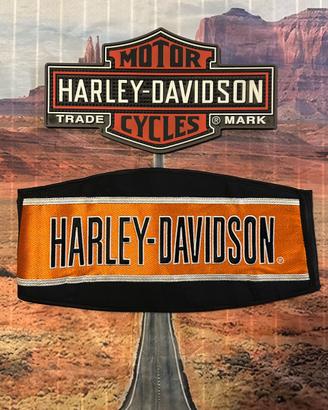 Fascia lombare Originale Harley Davidson tg M