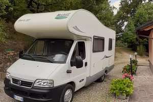 Camper McLouis Lagan 411