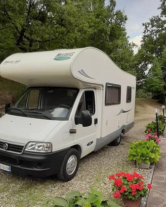 Camper McLouis Lagan 411