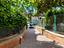 Immagine 7
