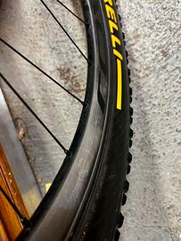 Ruote MTB Roval Control carbon 29