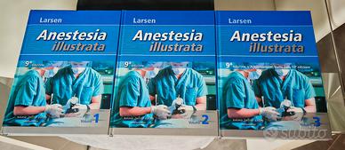 Larsen Anestesia illustrata 