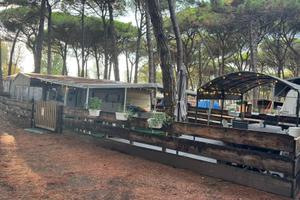 Roulotte stanziale lido di spina