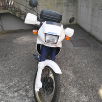Honda dominator