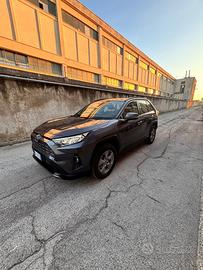 Rav 4 Hybrid anno 2022