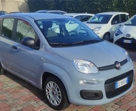 FIAT Panda 3ª serie  1.0 FireFly S&S Hybrid