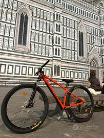 Wheeliebike 29