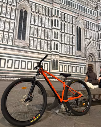 Wheeliebike 29