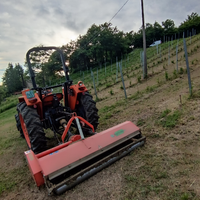 Trattore Fiat 600 Dt