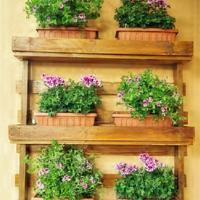 FIORIERE IN PALLET LEVIGATE E COLORATE