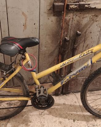 bicicletta mountain bike MTB Frejus da donna