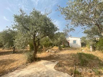 CASA con terreno pressi BUDDI BUDDI