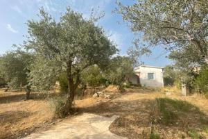 CASA con terreno pressi BUDDI BUDDI