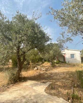 CASA con terreno pressi BUDDI BUDDI