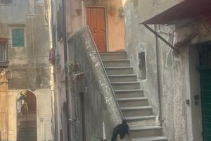 Appartamento ammobiliato