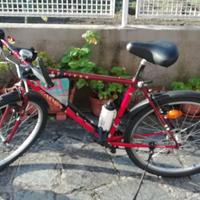 MTB Cinelli Sentiero