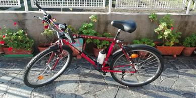 MTB Cinelli Sentiero