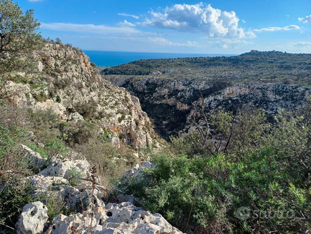 Terreno panoramica spectacular land