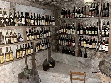vino in bottiglia