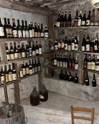 vino in bottiglia