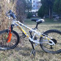 bicicletta 20 pollici bimbo