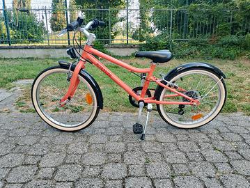 biciclette 