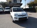 fiat-panda-1-0-firefly-s-s-hybrid-city-cross