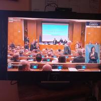 TV Samsung 32'' LCD - LE32A336J1D, con telecomando