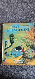 Pesci e Pesciolini Gli animali e i loro piccoli 