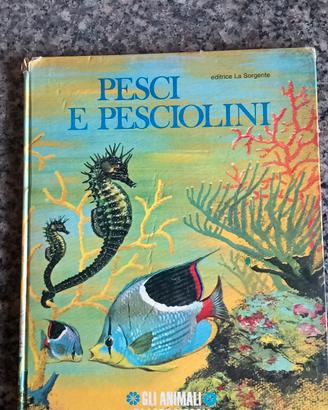 Pesci e Pesciolini Gli animali e i loro piccoli 