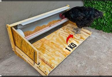 Mangiatoia automatica galline